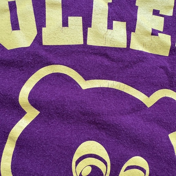 Vintage College Dropout T-Shirt 2004 Large - Picture 4 of 6